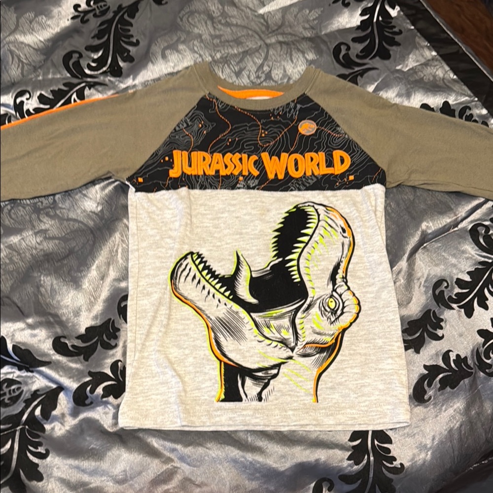 Black and Gray Long Sleeve Tee with Dinosaur Graphic